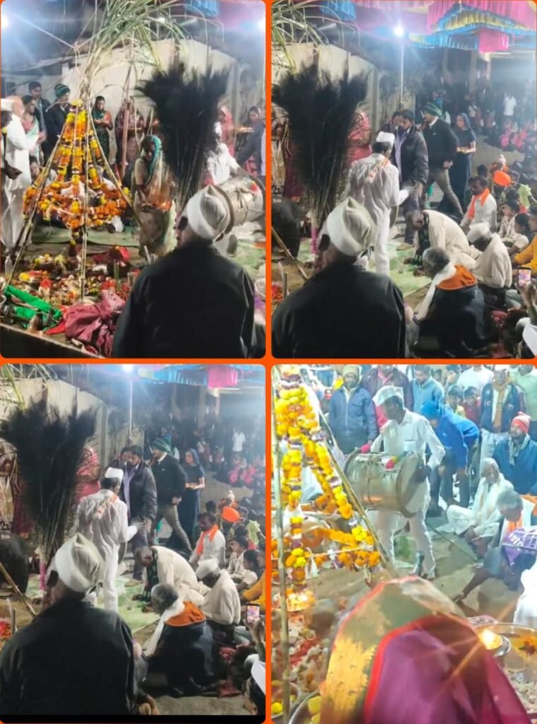 शासकीय उपक्रम 987